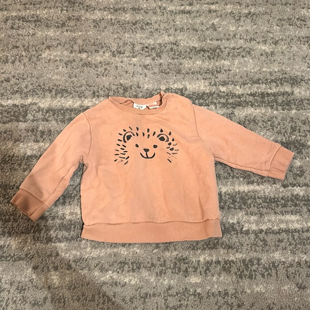 Zara long sleeve hedgehog crew neck sweatshirt